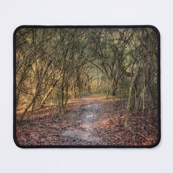 Item preview, The Quiet Corridor  designed and sold by Lucent Horizon Studio.