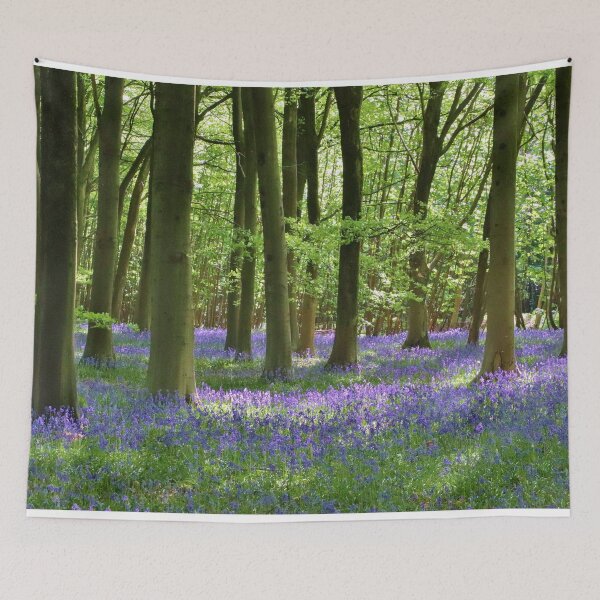 Aperçu de l'œuvre Forêt de jacinthes des bois de Cotswold créée et vendue par Susan Snow Photography and Design.