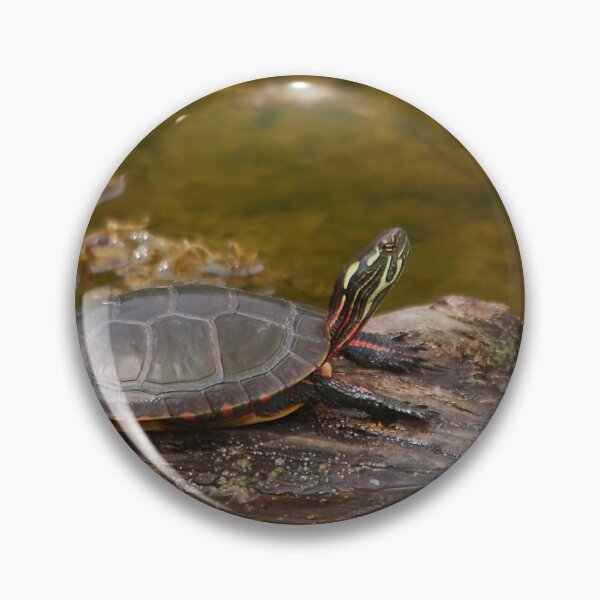 Item preview, A turtle in a swamp designed and sold by Production Art Manon Meilleur.