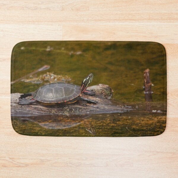 Item preview, A turtle in a swamp designed and sold by Production Art Manon Meilleur.
