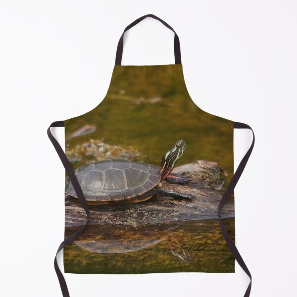 Item preview, A turtle in a swamp designed and sold by Production Art Manon Meilleur.