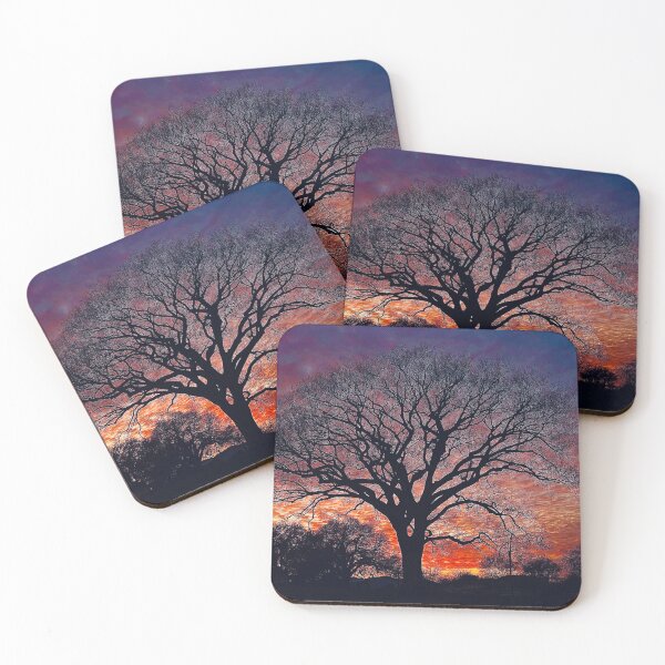 Item preview, Huge Elm Tree silhouette at sunset in St Charles, MO designed and sold by WayneSheridan.