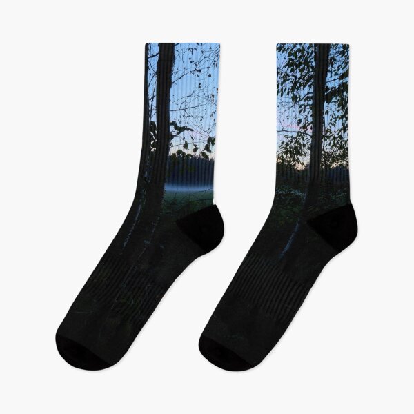 Item preview, Young birches by the field.. Parkkuu 2025 designed and sold by Jouko Lehto Photography.