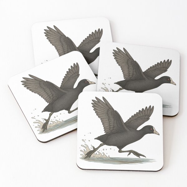 Item preview, Elegant American Coot Bird Illustration designed and sold by GullHyena.