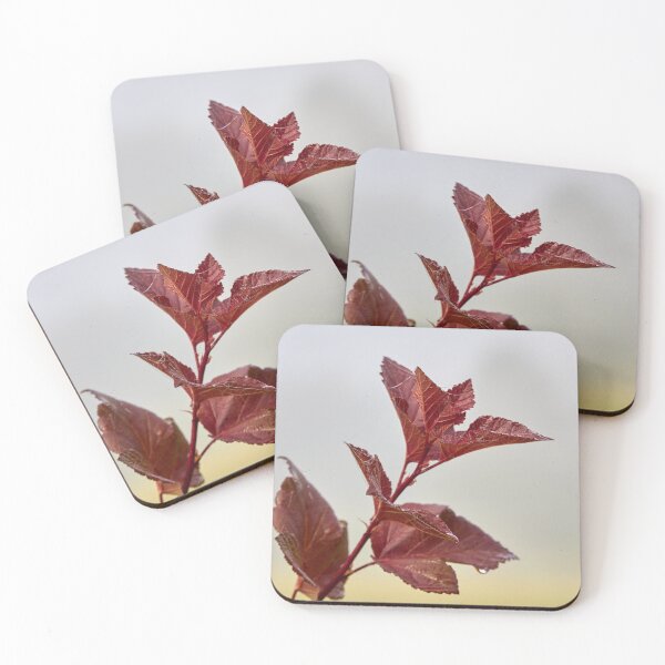 Item preview, Red and wet designed and sold by Jouko Lehto Photography.