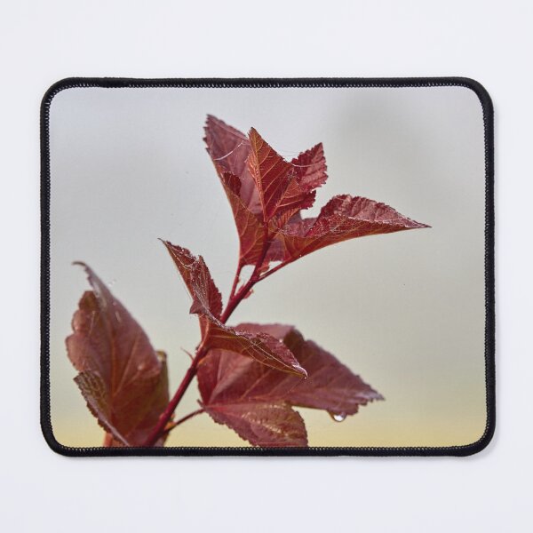 Item preview, Red and wet designed and sold by Jouko Lehto Photography.