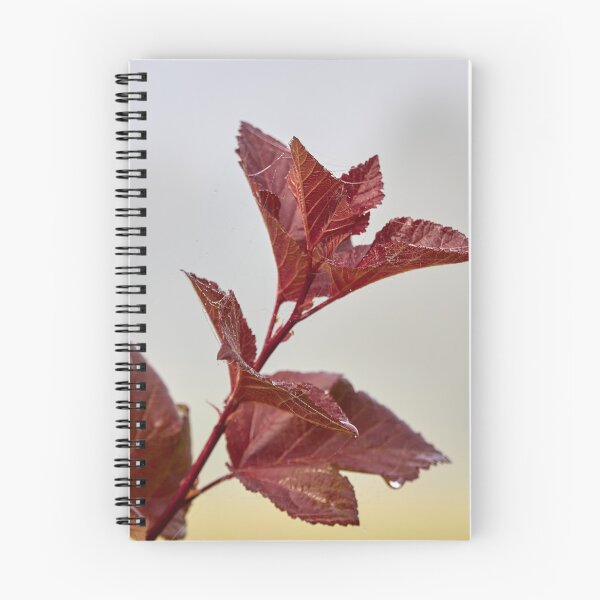 Item preview, Red and wet designed and sold by Jouko Lehto Photography.