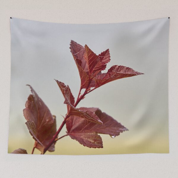 Item preview, Red and wet designed and sold by Jouko Lehto Photography.