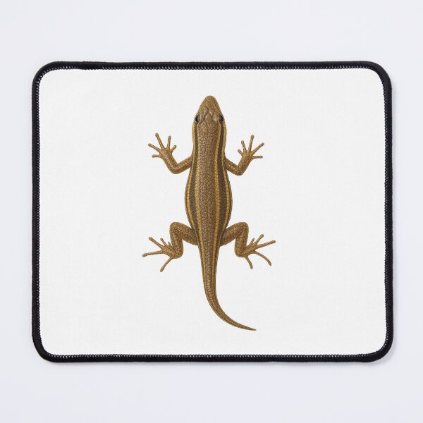 Item preview, skink sticker cat prank designed and sold by octozap.