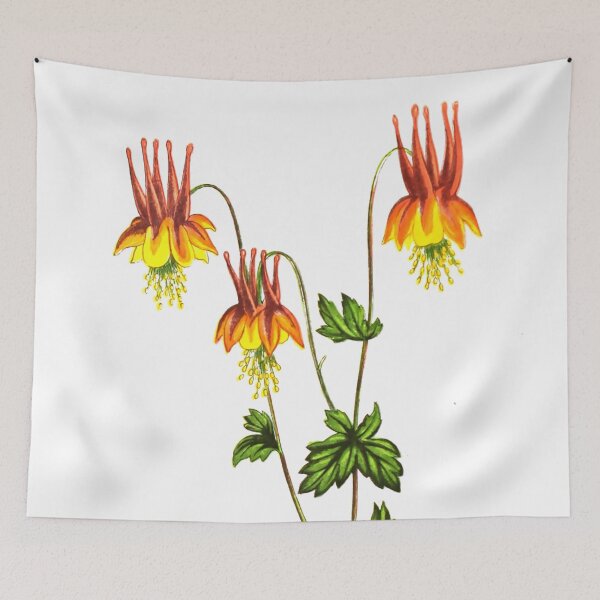 Item preview, Vintage Botanical Print: Aquilegia Canadensis from The Floral world and garden guide (1878) designed and sold by Douglas E. Welch Design and Photography.