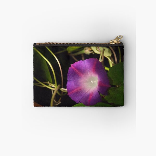 Item preview, Mourning Glory designed and sold by Barry Doherty.