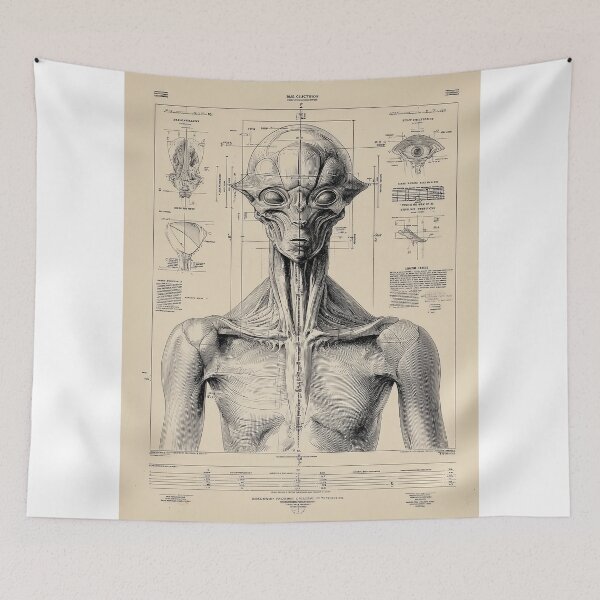 Item preview, Anatomical Study of an Alien Figure designed and sold by lautir.