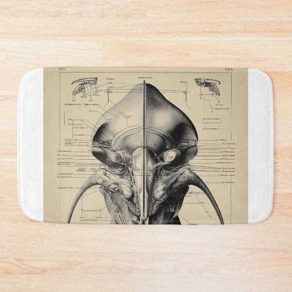 Item preview, Detailed alien Anatomy Diagram designed and sold by lautir.