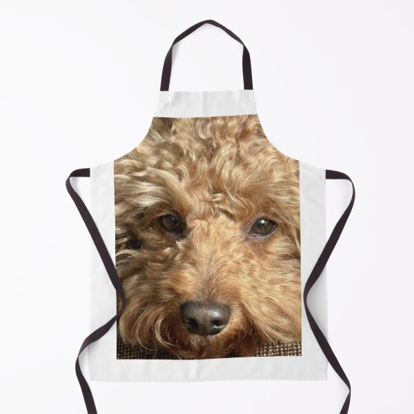 Item preview, Jared designed and sold by BOBBYBABE.