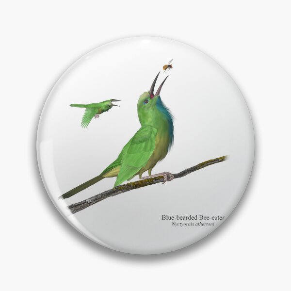 Item preview, Blue-Bearded Bee-eater designed and sold by Ken Gilliland.