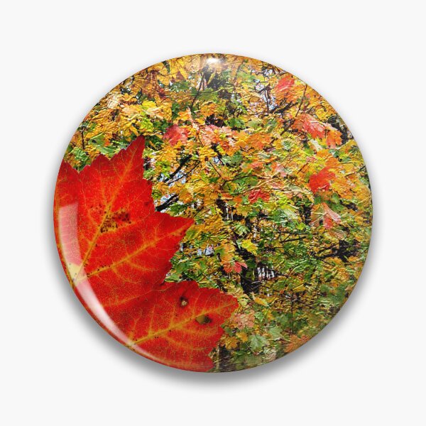 Item preview, Autumn Leaf In Front of Changing Leaves  designed and sold by BostonArcImage.