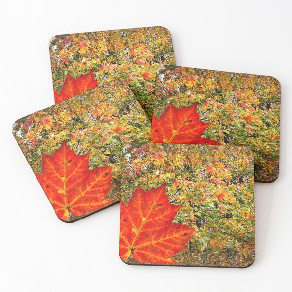 Item preview, Autumn Leaf In Front of Changing Leaves  designed and sold by BostonArcImage.
