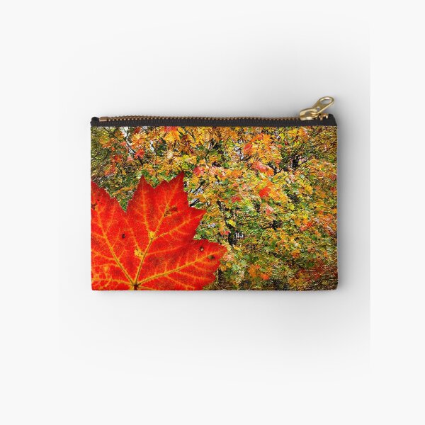 Item preview, Autumn Leaf In Front of Changing Leaves  designed and sold by BostonArcImage.
