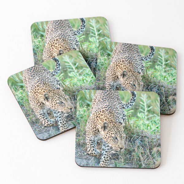 Item preview, Leopard On The Move In Okavango Light designed and sold by DavideAntoniani.