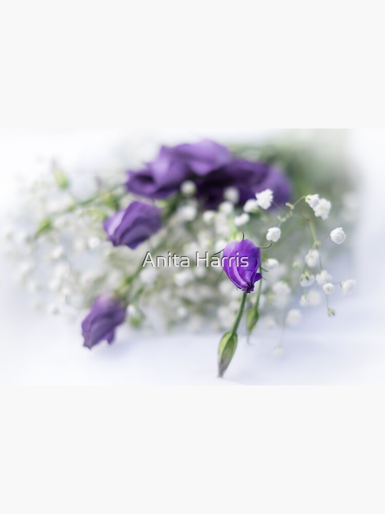 Untitled by plasticflower