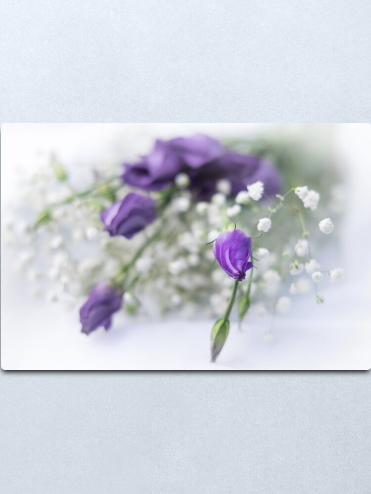 Alternate view of Untitled Metal Print