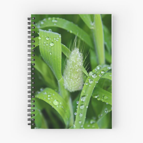 Artikelvorschau, Ornamental Grass & Dew Drops entworfen und verkauft von AnnDixon.