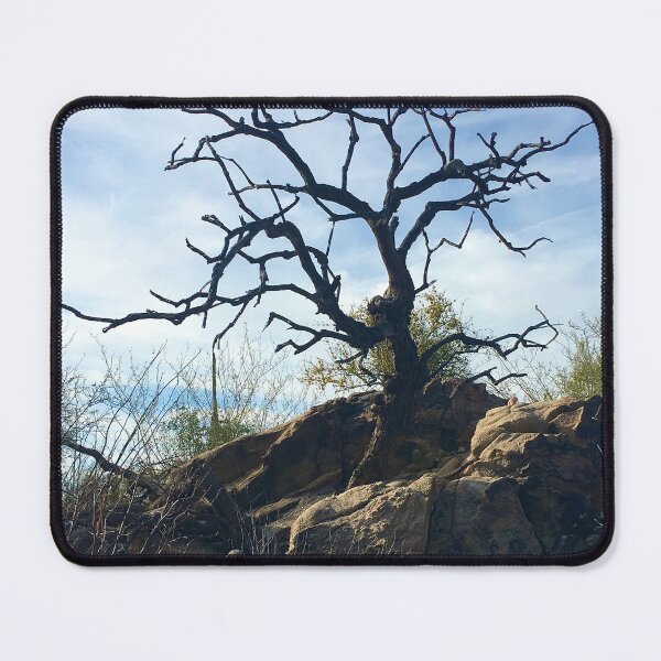 Item preview, Lone Tree designed and sold by Yvonne  Diaz.
