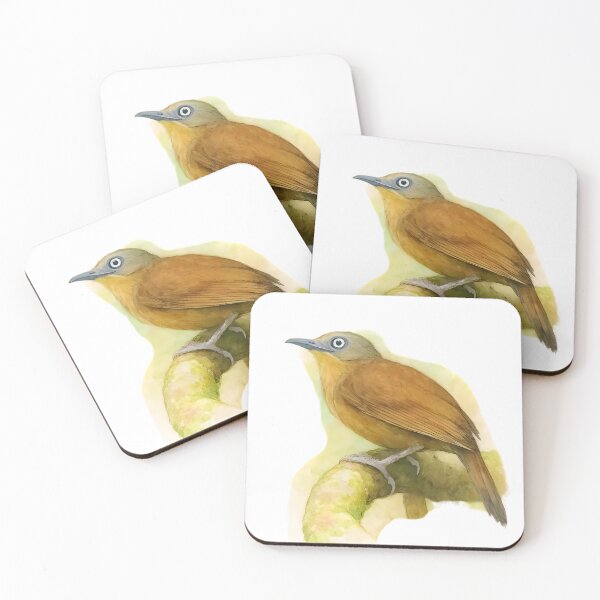 Item preview, Ashy-headed Laughingthrush (Garrulax cinereifrons) designed and sold by HOMETOWN86.