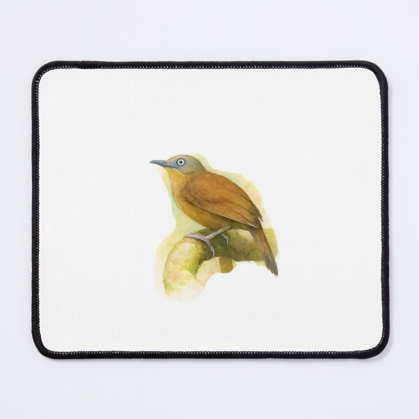 Item preview, Ashy-headed Laughingthrush (Garrulax cinereifrons) designed and sold by HOMETOWN86.