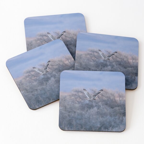 Item preview, Short-Eared Owl at Twilight (part 1) designed and sold by Tahoe Trail Guide.