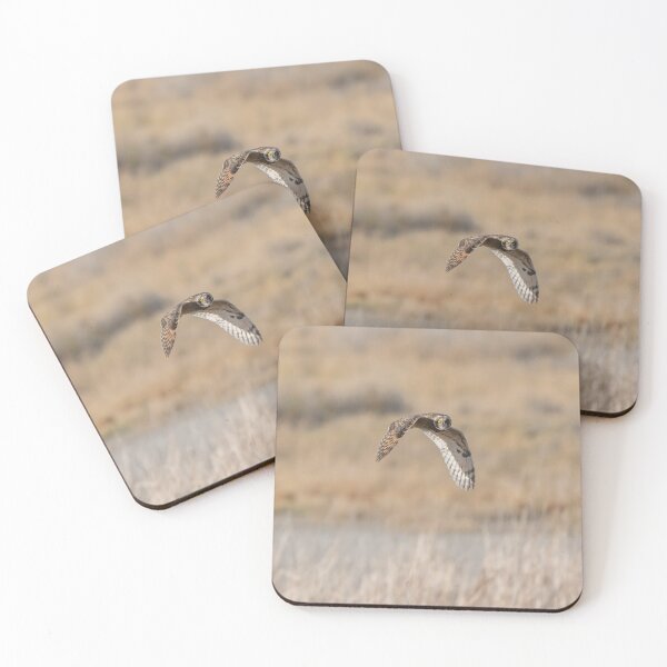 Item preview, Short-Eared Owl in the High Desert (part 1) designed and sold by Tahoe Trail Guide.