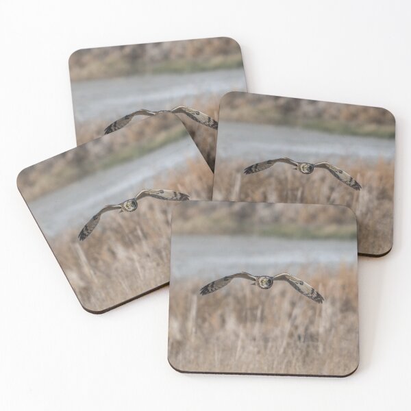 Item preview, Short-Eared Owl in the High Desert (part 2) designed and sold by Tahoe Trail Guide.