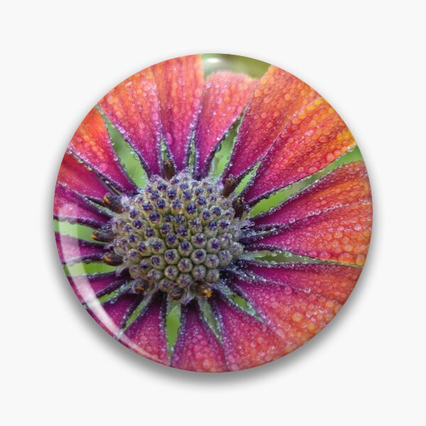 Item preview, Morning Dew designed and sold by Betsy Phillips.
