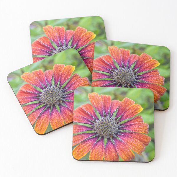 Item preview, Morning Dew designed and sold by Betsy Phillips.