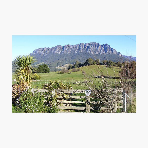 Mt Roland - Photographic Print