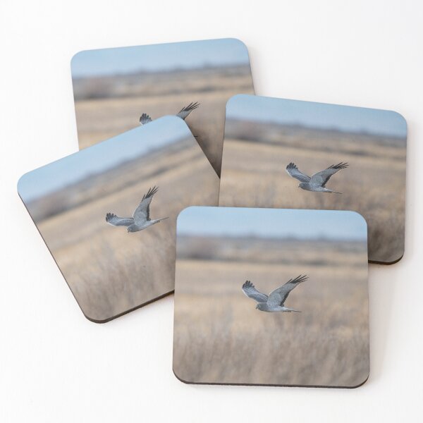Item preview, Northern Harrier Hunting in the High Desert designed and sold by Tahoe Trail Guide.