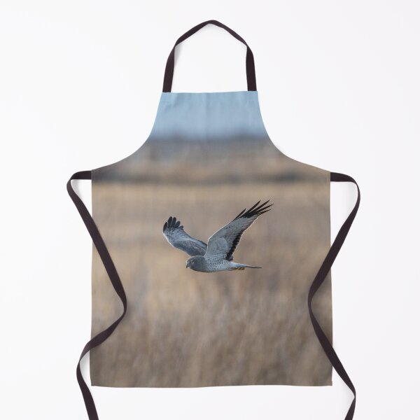 Item preview, Northern Harrier Hunting in the High Desert designed and sold by Tahoe Trail Guide.