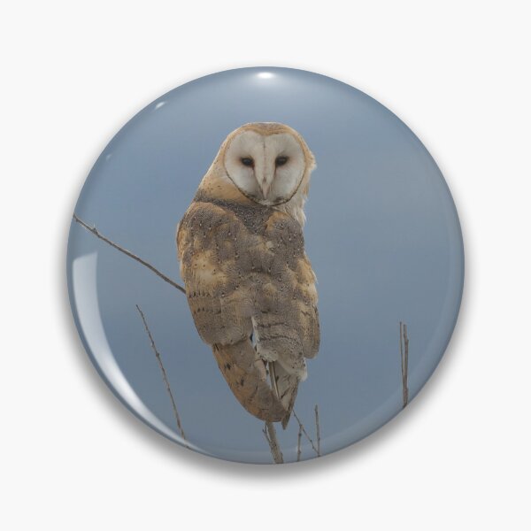 Item preview, Inquisitive Barn Owl designed and sold by Tahoe Trail Guide.