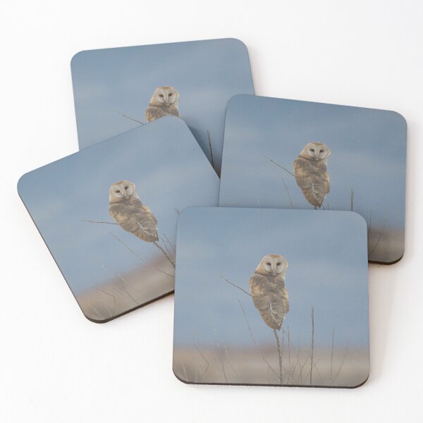 Item preview, Inquisitive Barn Owl designed and sold by Tahoe Trail Guide.