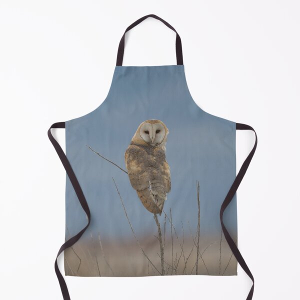 Item preview, Inquisitive Barn Owl designed and sold by Tahoe Trail Guide.