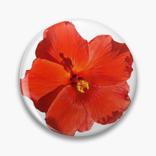 Item preview, Cucarda roja - Hibiscus designed and sold by Kiraguapa.