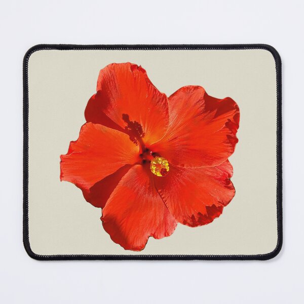 Item preview, Cucarda roja - Hibiscus designed and sold by Kiraguapa.