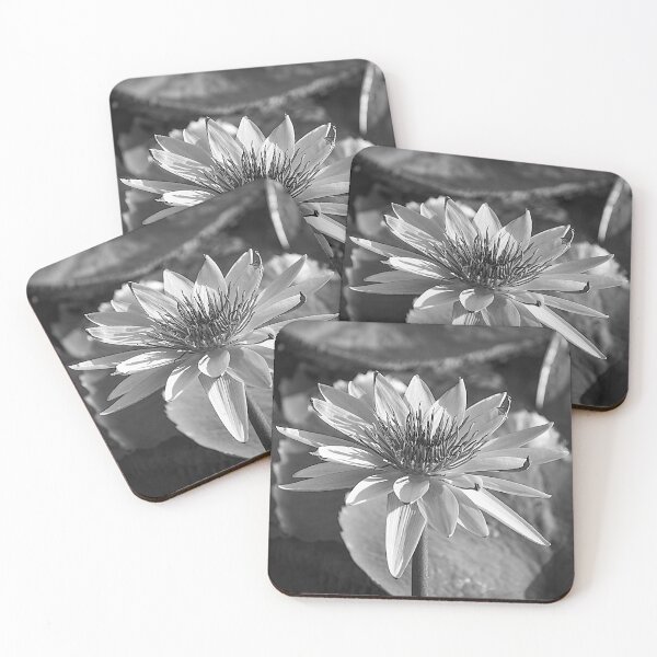 Item preview, Water Lily BW designed and sold by WrightDesignsUS.