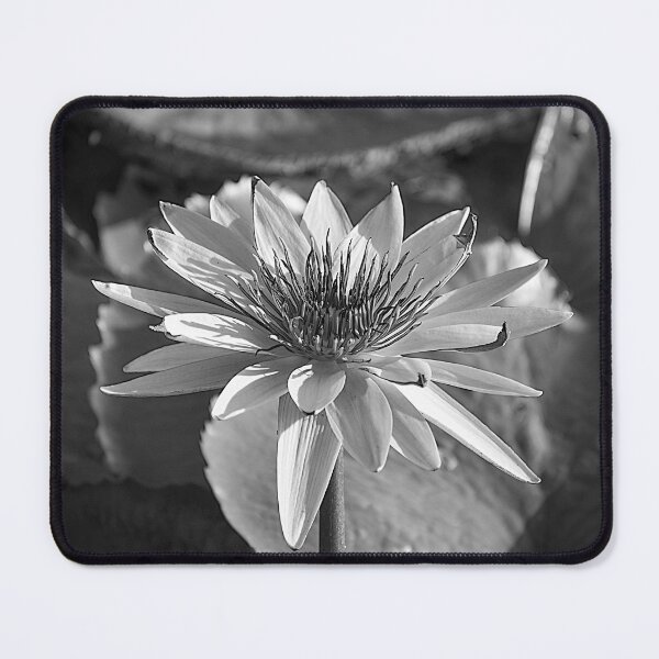 Item preview, Water Lily BW designed and sold by WrightDesignsUS.