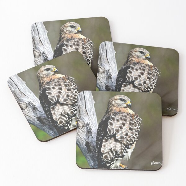 Item preview, Red Shouldered Hawk perched  designed and sold by Glennphotos.