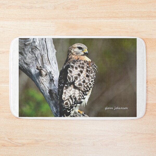 Item preview, Red Shouldered Hawk perched  designed and sold by Glennphotos.