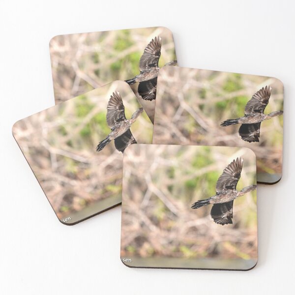 Item preview, Cormorant flying  designed and sold by Glennphotos.