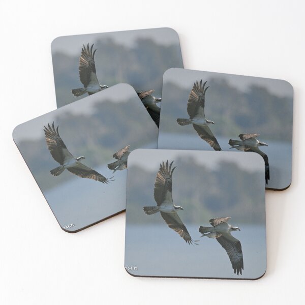 Item preview, Osprey chase  designed and sold by Glennphotos.