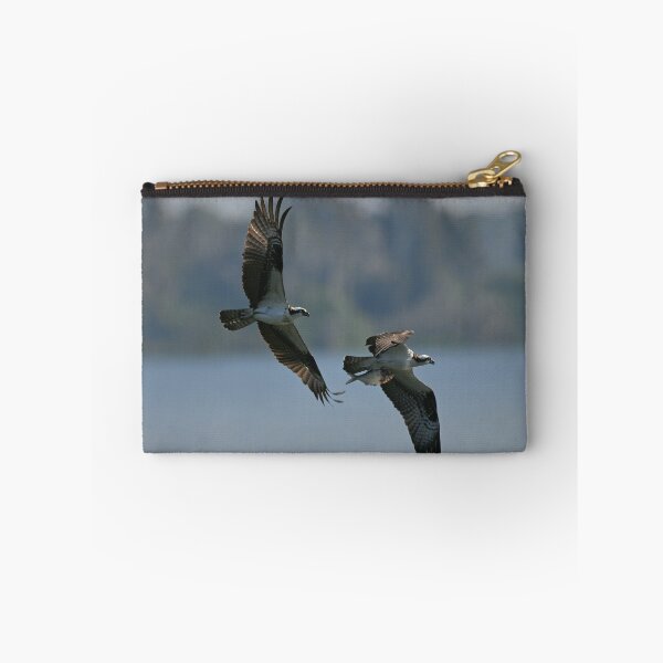Item preview, Osprey chase  designed and sold by Glennphotos.