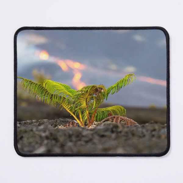 Item preview, 'Ama'u at Halema'uma'u designed and sold by Keola Makaiau.